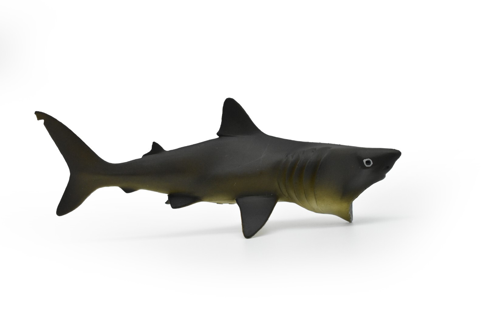 Basking Shark, Museum Quality Plastic Toy Figurine Model 5.5″ F1773 B97