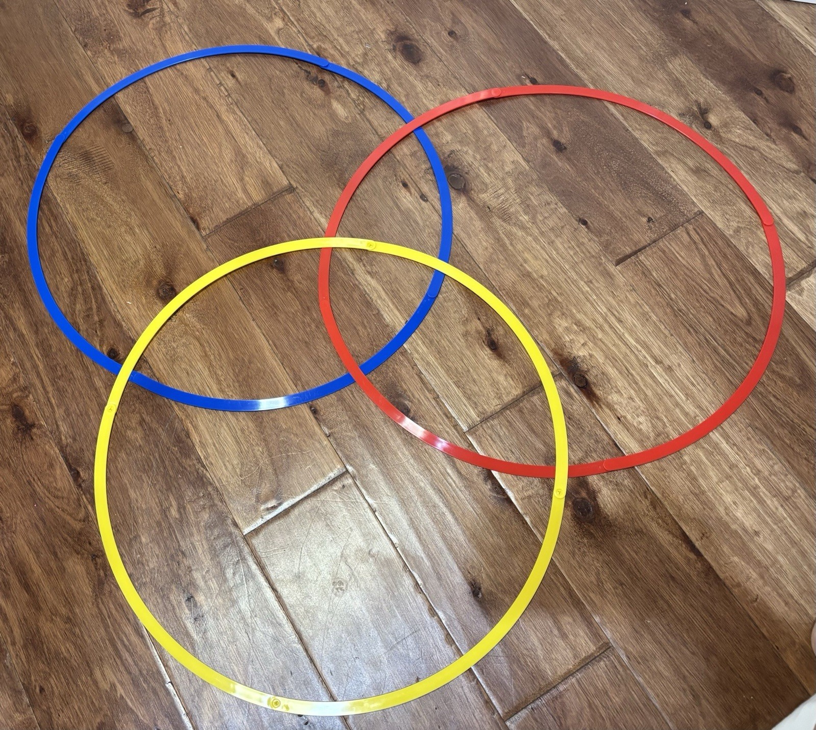Venn Diagram Sorting Circles, Set Of 3, Homeschool Classroom Group Work