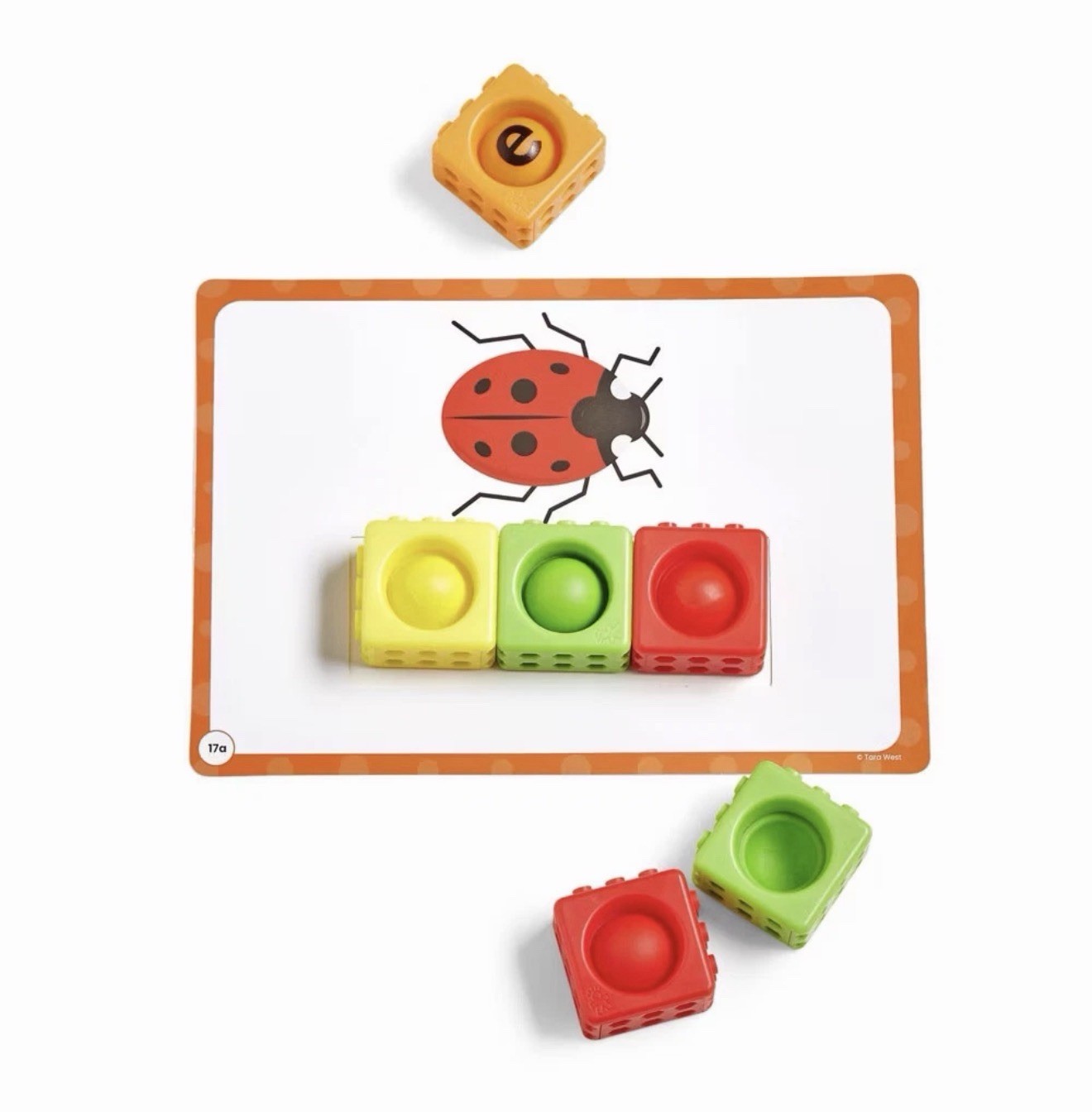 Hand2Mind Little Minds at Work Science Reading Kindergarten Activity Guide Kit