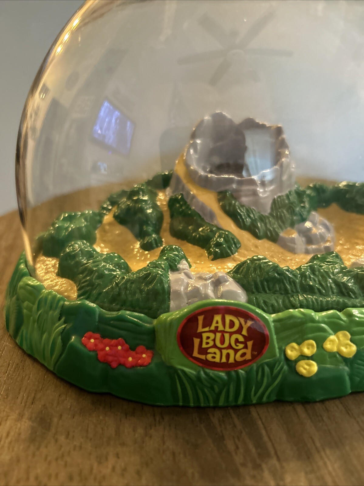 Insect Lore Live Ladybug Growing Kit Toy Nature Comes Alive 2003 Preowned