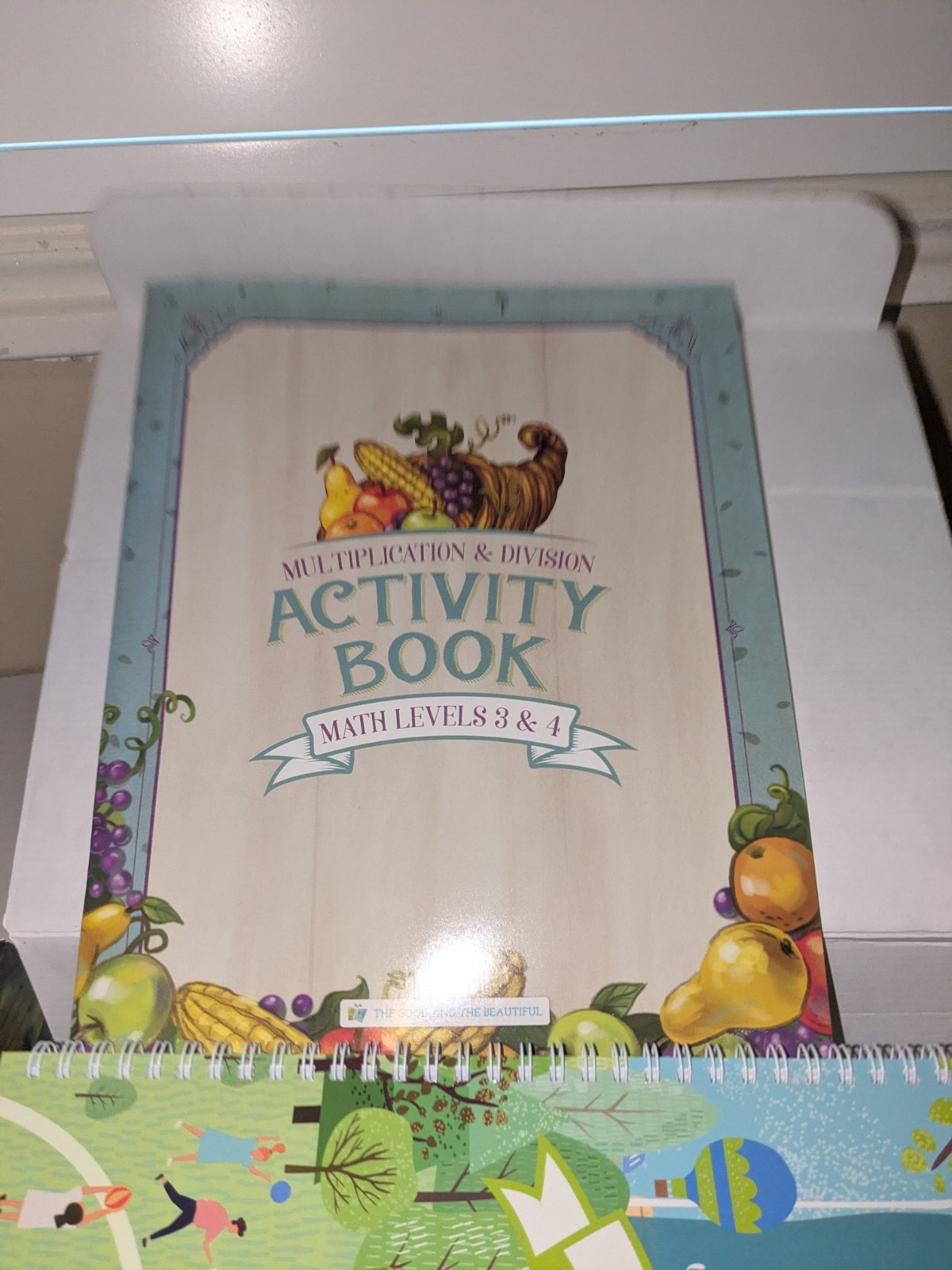 Math Activity Box Levels 3 & 4 Good And The Beautiful Curriculum Manipulatives