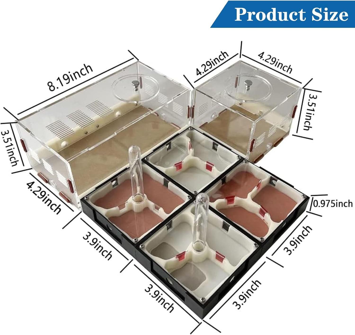 Ant Farm Nest Science DIY Terrarium Kit Care for Live Ants Ant Habitat with Wate