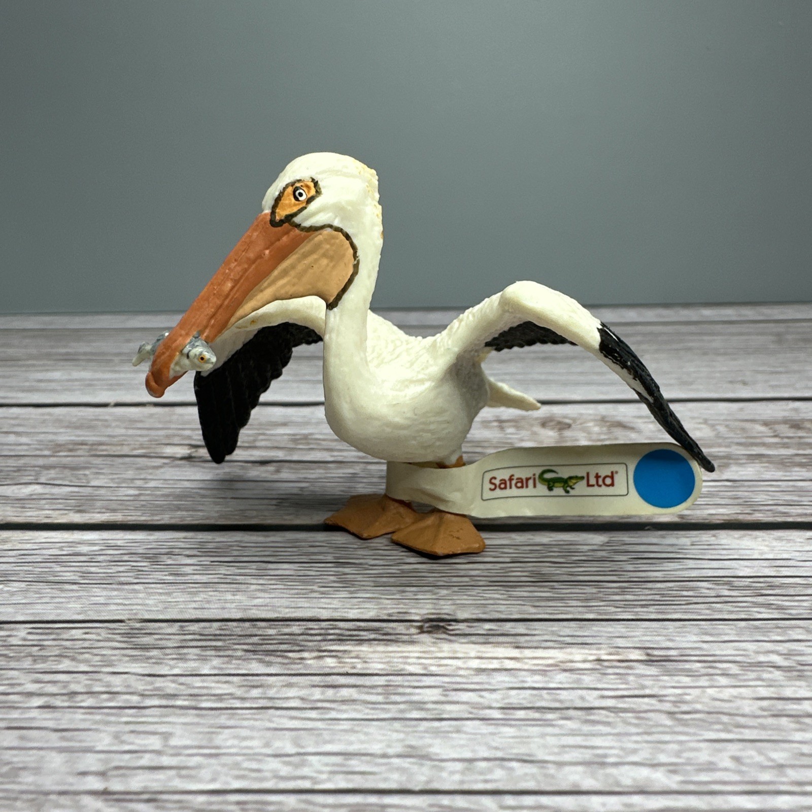Safari Ltd PELICAN w/FISH Bird Figure 2004 Retired