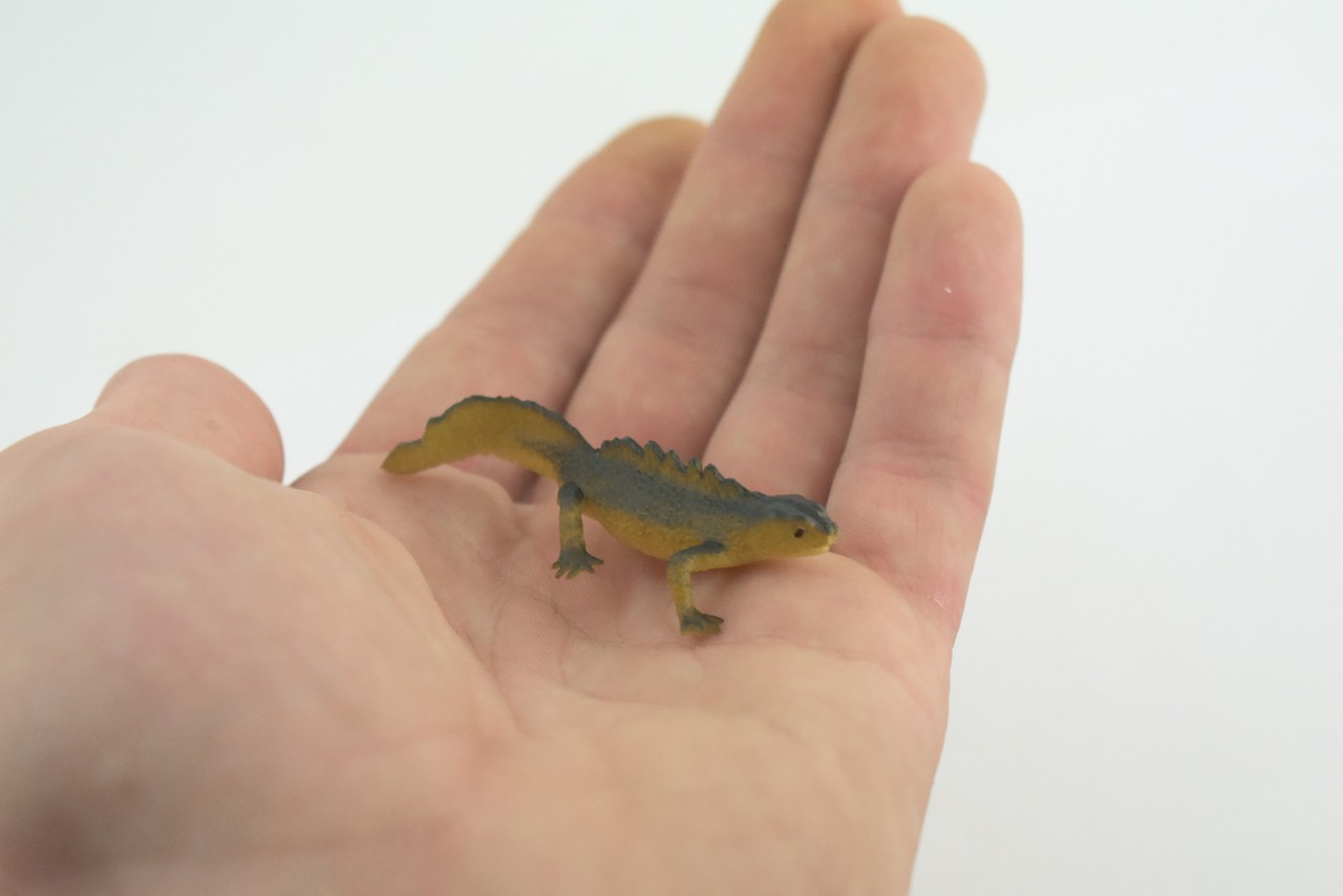 Toy Water Dragon, Sailfin Lizard, Realistic Hand Painted Rubber, 2″ WR48 B197