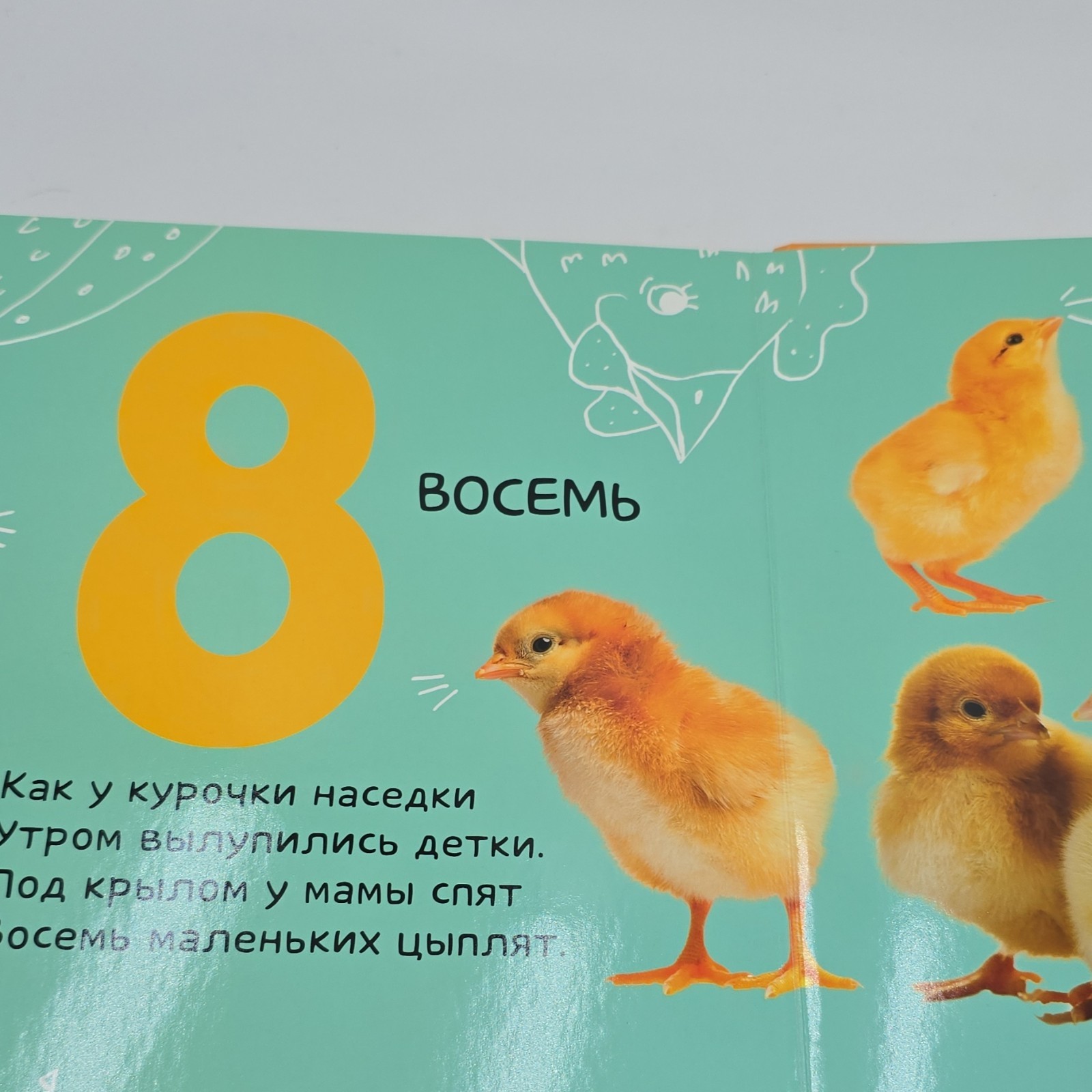 Clever Numbers Board Book Russian Educational Photo Book 1-3 Years