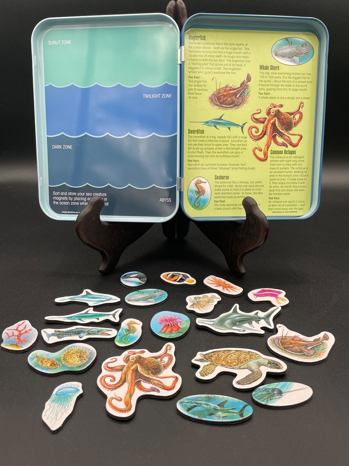 Magnetic Learning Activity S.T.E.M. Educational, Set of 3