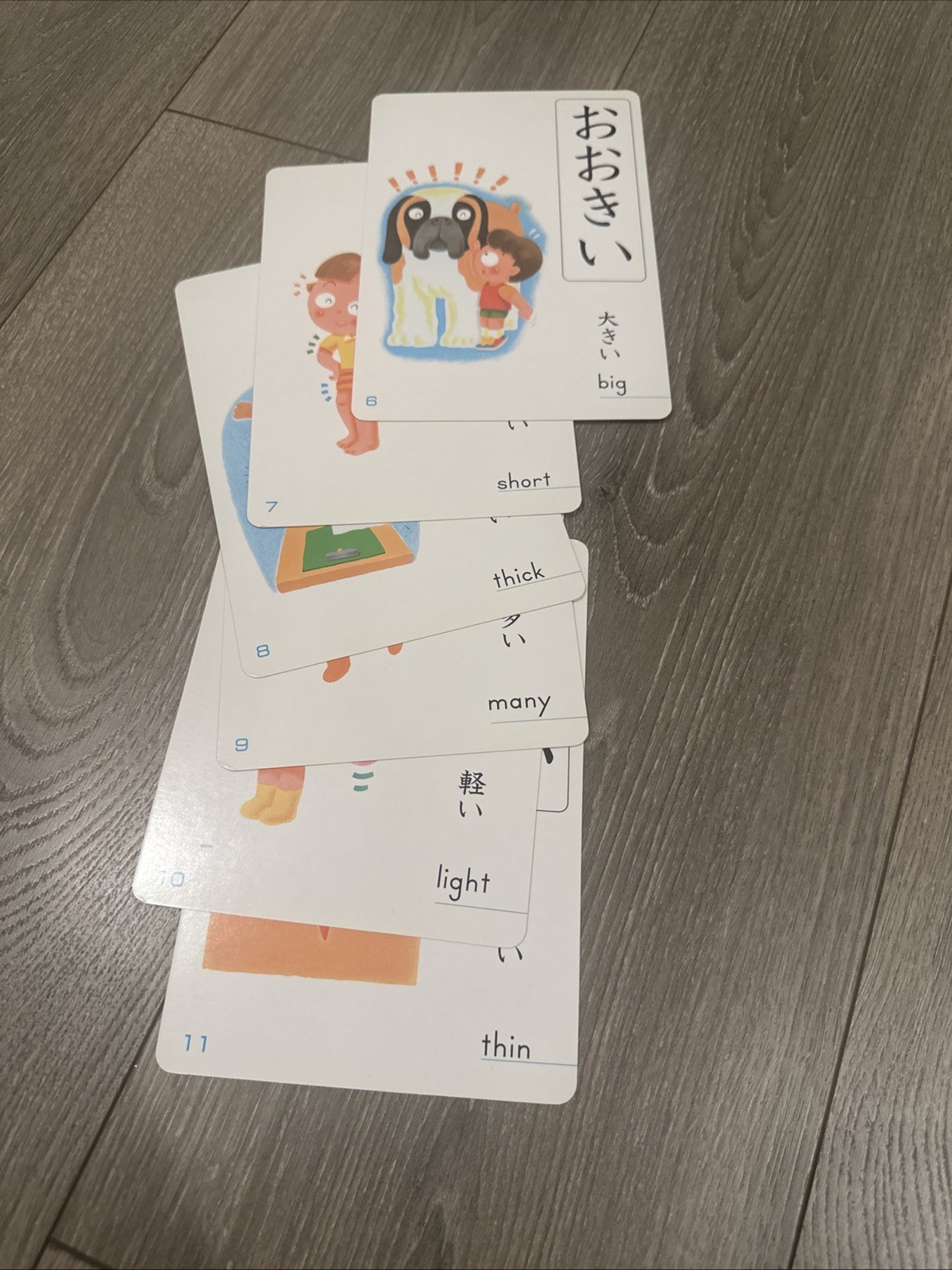 Kumon Opposite Words Card educational set for toddlers Japan