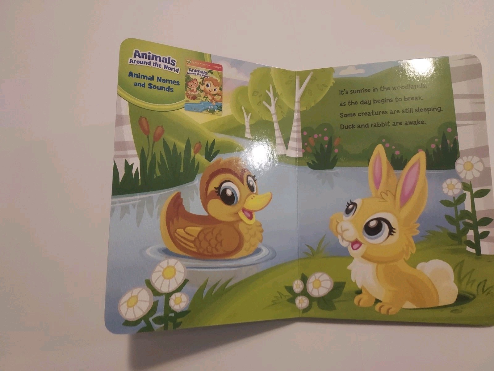 LeapFrog Tag Or LeapReader Junior Book — Let’s READ Together! — USED