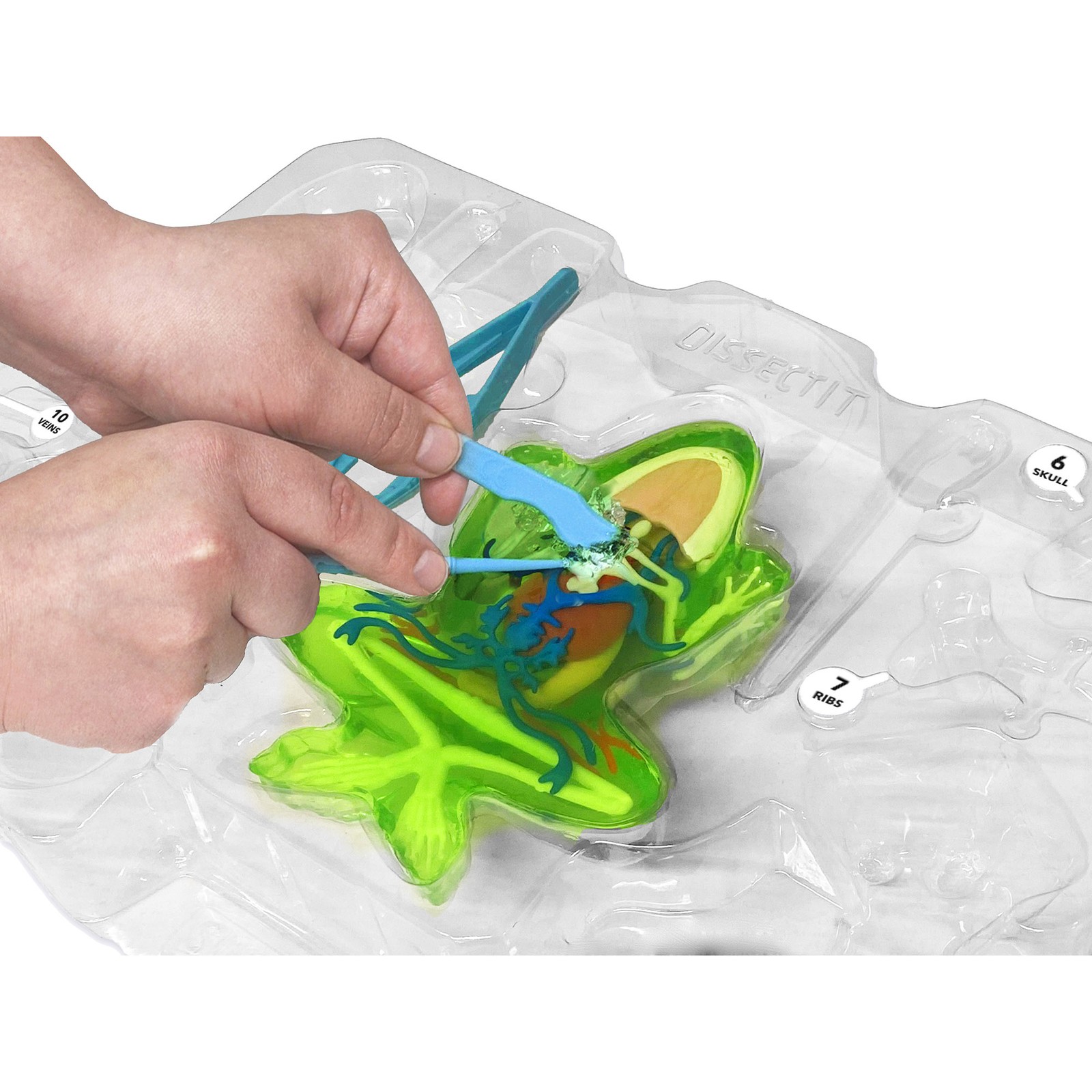 Top Secret Toys: Dissect-It, Deluxe Super Frog Lab, Science Kit, Kids