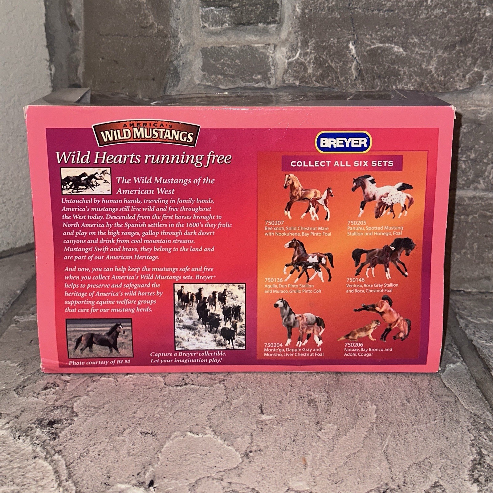 Sealed Breyer Wild Mustang Liver Chestnut Foal Montega Dapple Gray & Monsho 2007