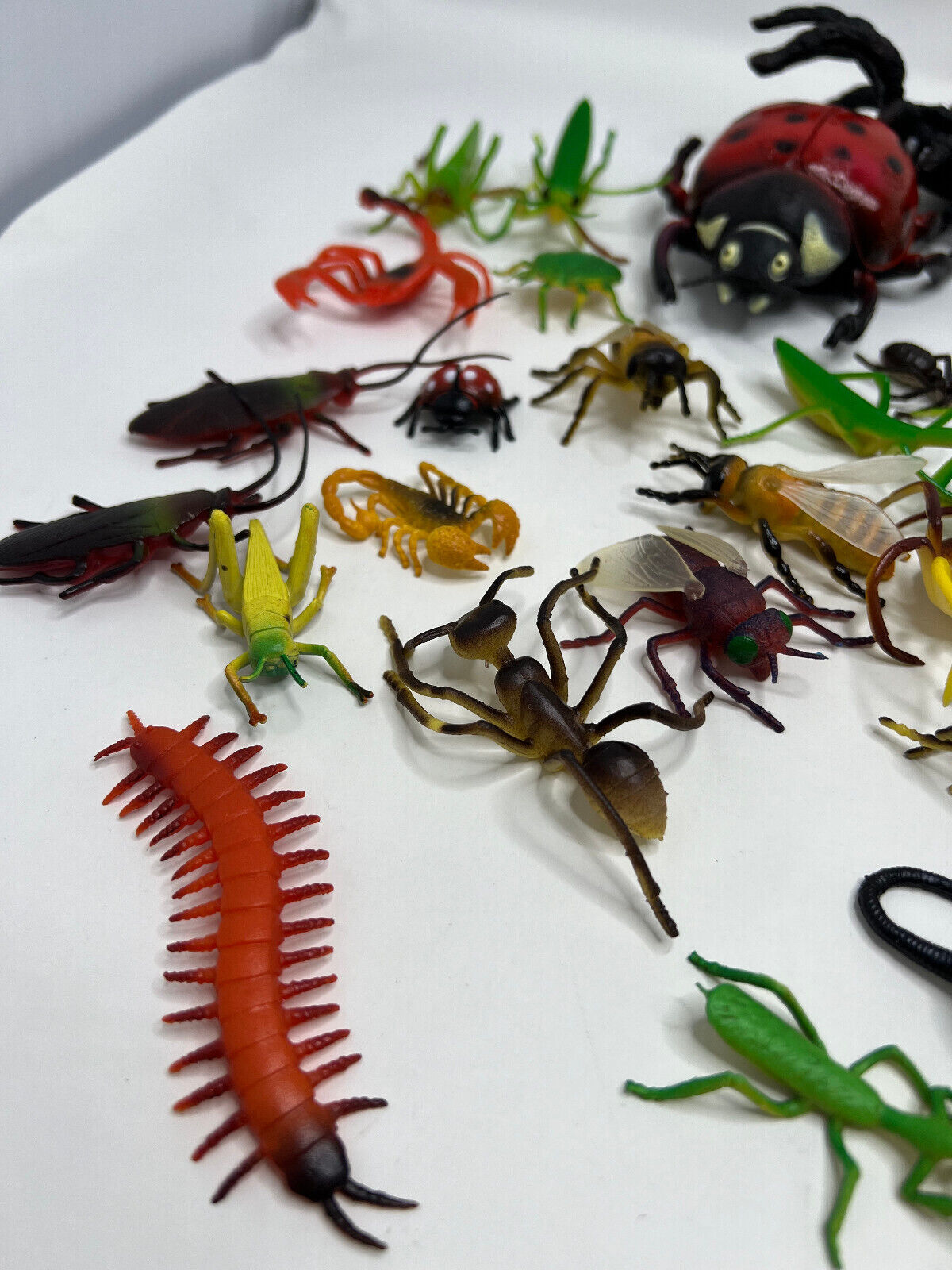 Large Lot of Creepy plastic bugs toy relistic figures