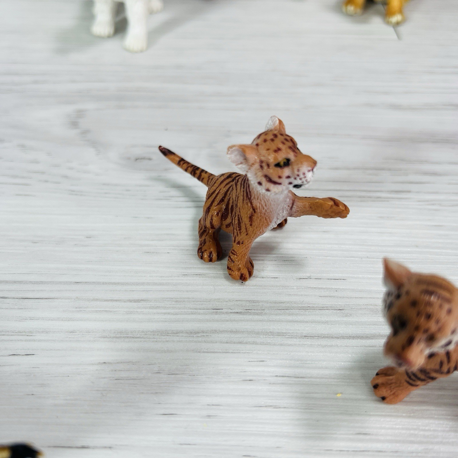 Safari Ltd Animal Lot Lion Lioness Toy Rhinoceros Polar Bear Tiger Lynx Baby Cub