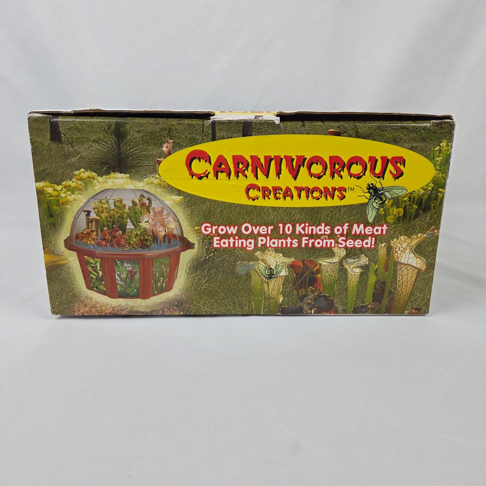 New 2004 Carnivorous Creations Insect Eating Terrarium over 10 plant varieties