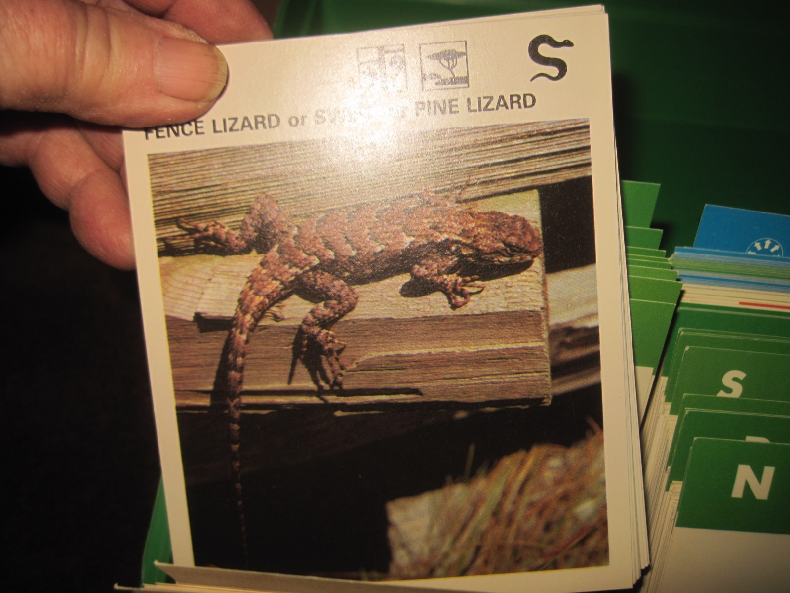 1970’s Illustrated Wildlife Treasury Animal Fact Cards & Carrying Case 400+ card