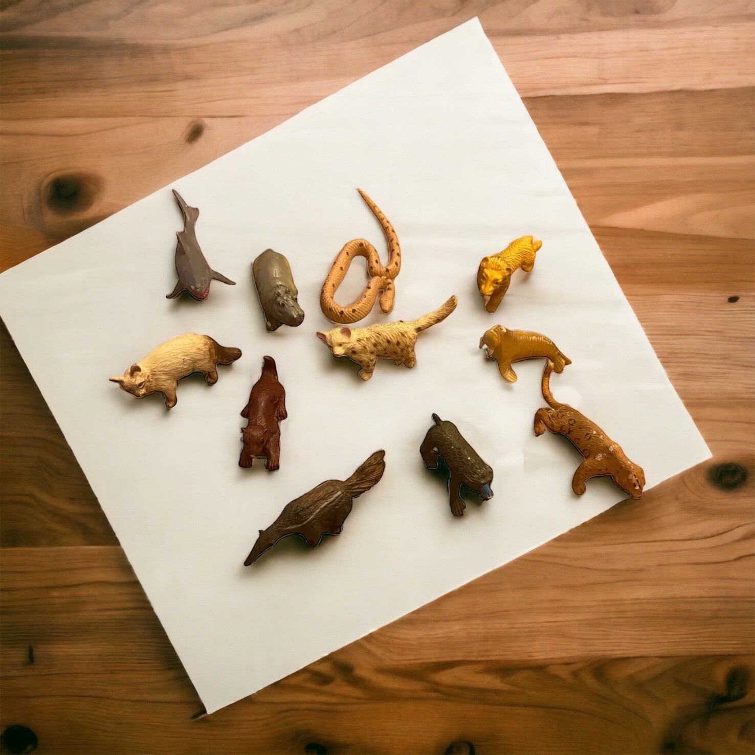Safari Ltd Sea Animals Collection Baboon Rhino Walrus Egyptian Cat Jaguar Python