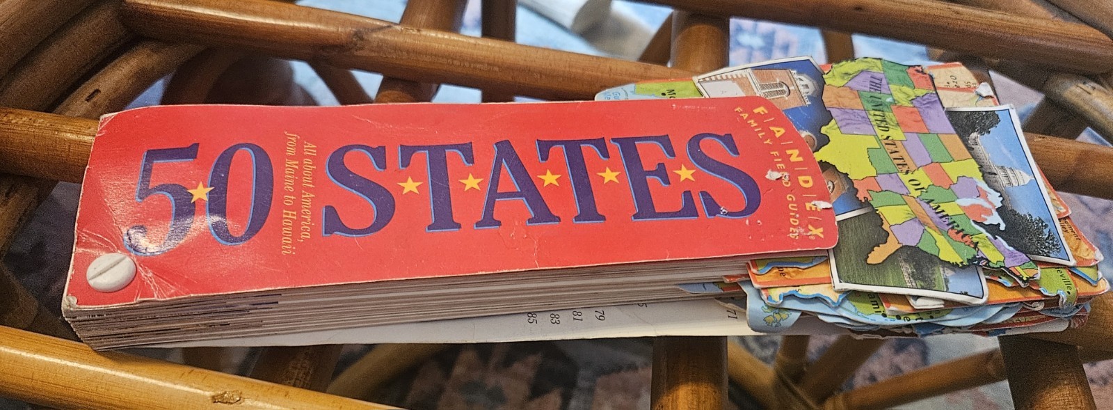 FANDEX Family Field Guides 1998 50 States Flash Cards Game US Geography