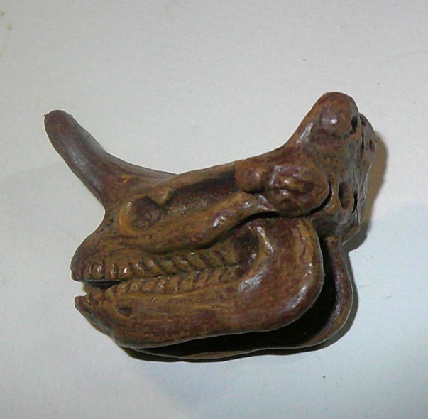 Embolotherium, Fossil Skull, Very Nice Plastic Reproduction 1 3/4″ Safari Lmt.