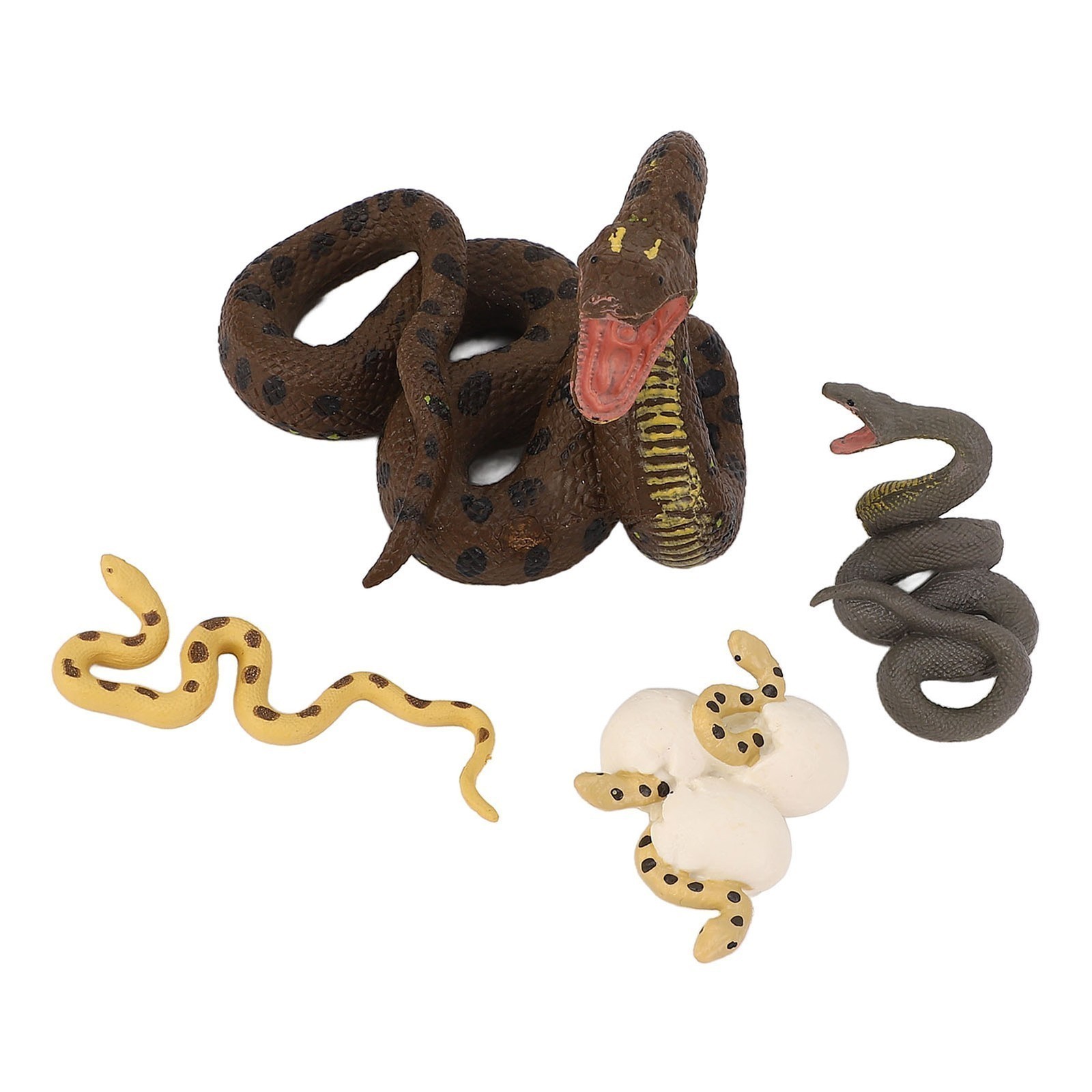 4 Pcs Snake Growth Cycle Model Toys Realistic Educational Play Simulated Snake