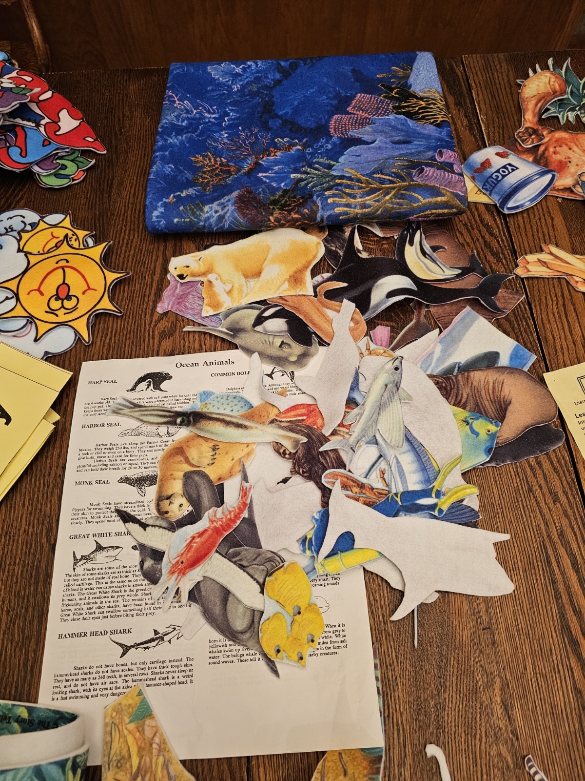 The Story Teller Felt Ocean Animals ABCs Calendar Food Group Rainforest 5 Groups