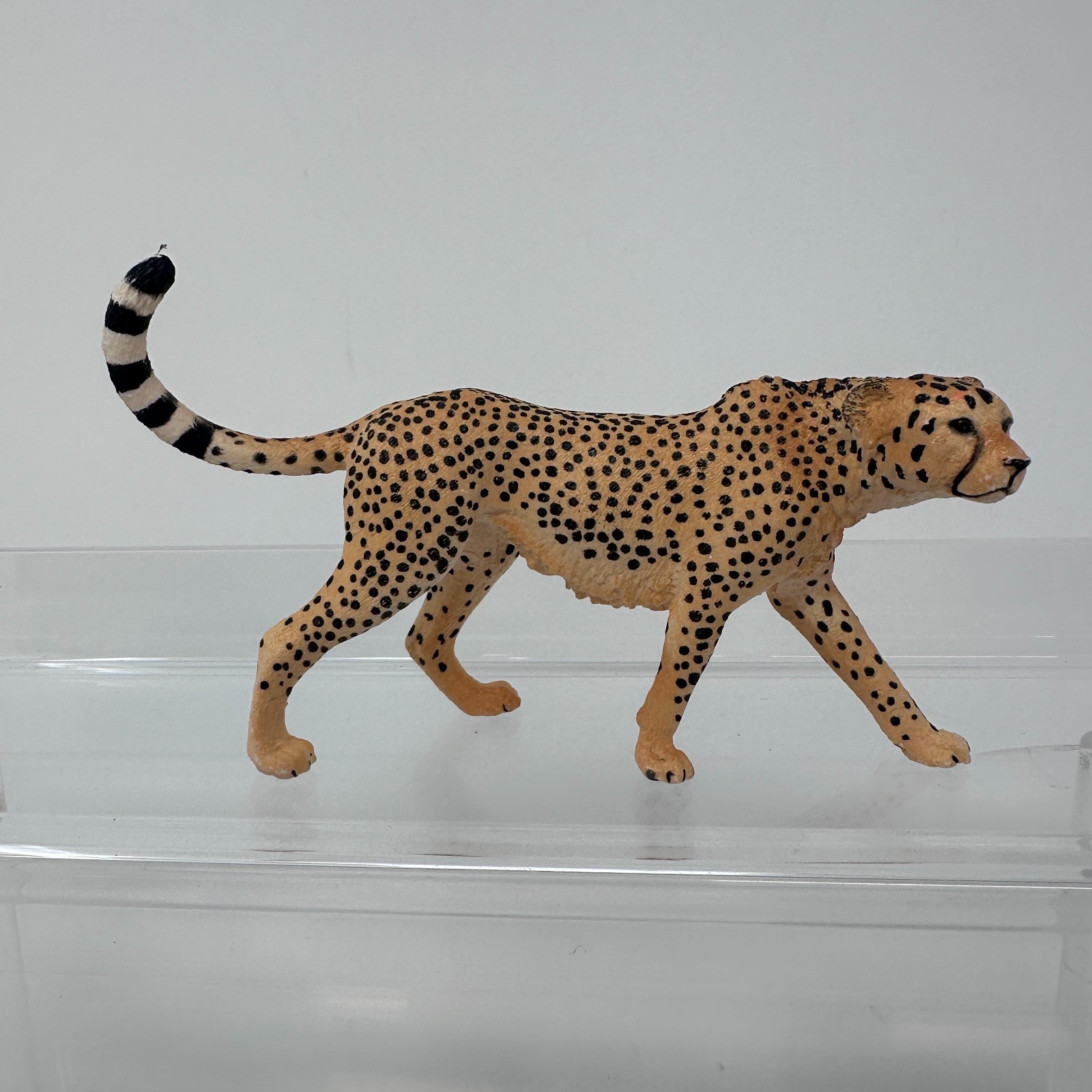 Schleich Cheetah Figure Spotted Large Cat Female Wildlife Zoo Animal Figurine