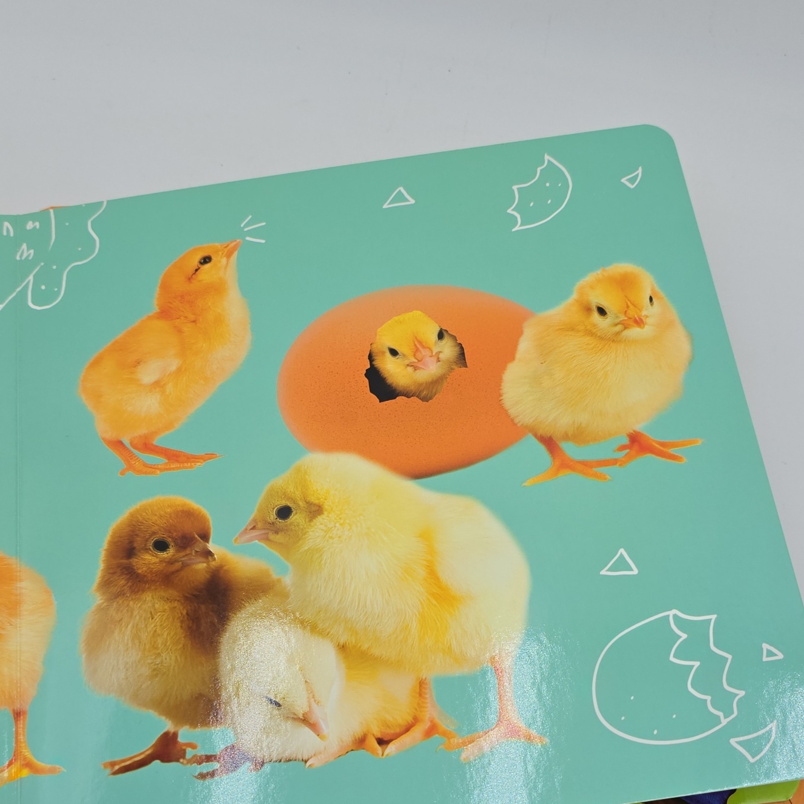 Clever Numbers Board Book Russian Educational Photo Book 1-3 Years