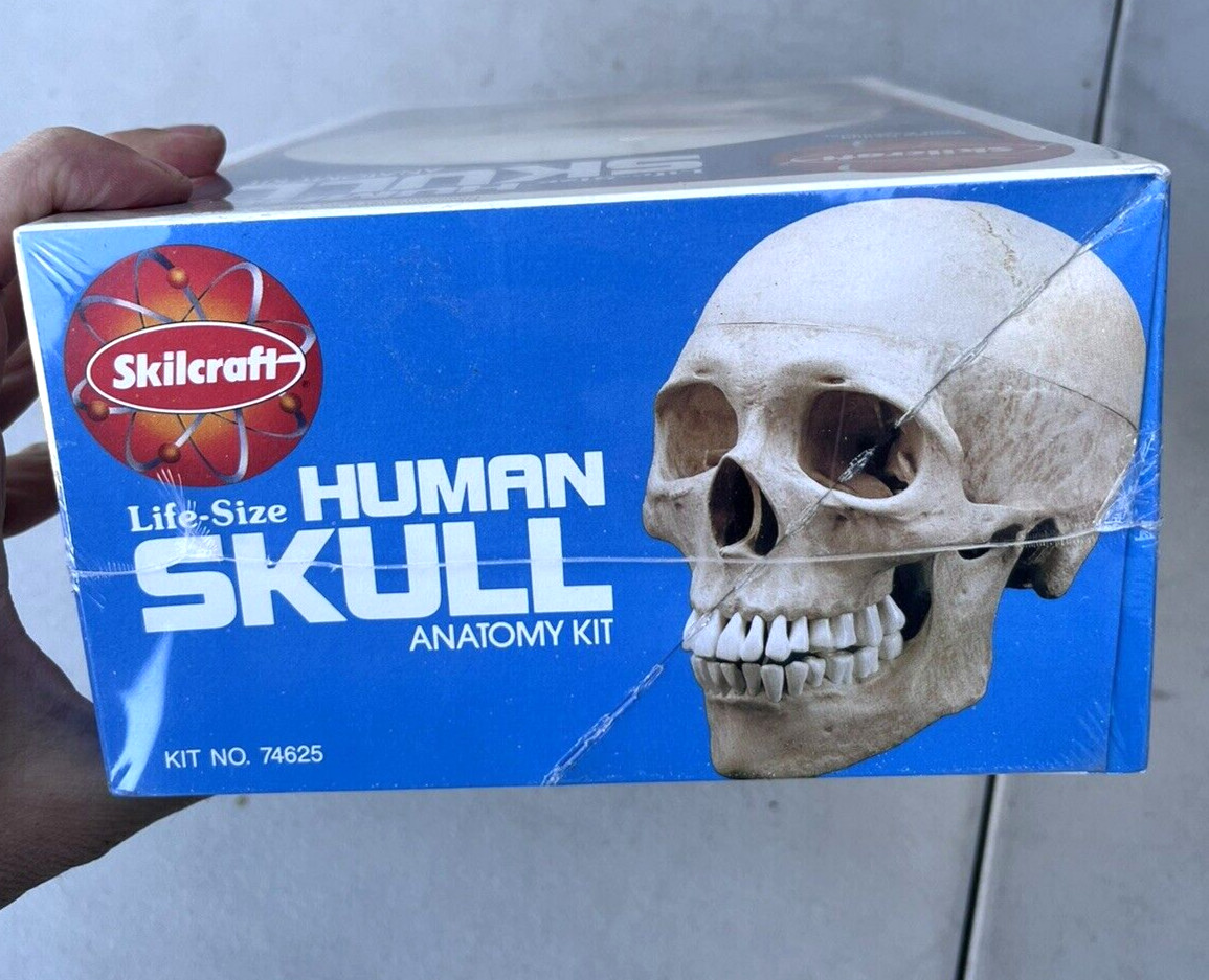 NEW 1996 Vintage Skilcraft Life-Size Human Skull Anatomy Model Kit No. 74625