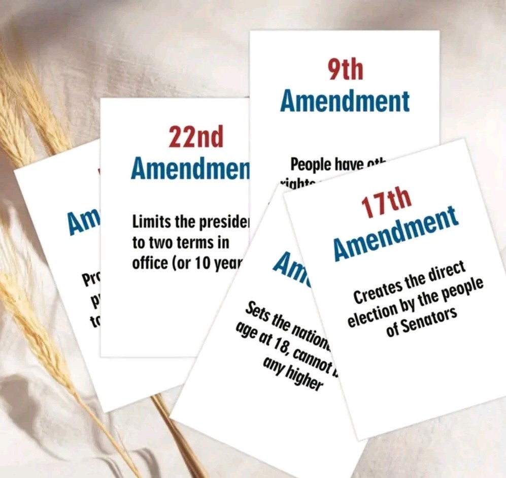 United STATES Constitution Amendments Study Flashcards Learning Aids CIVICS