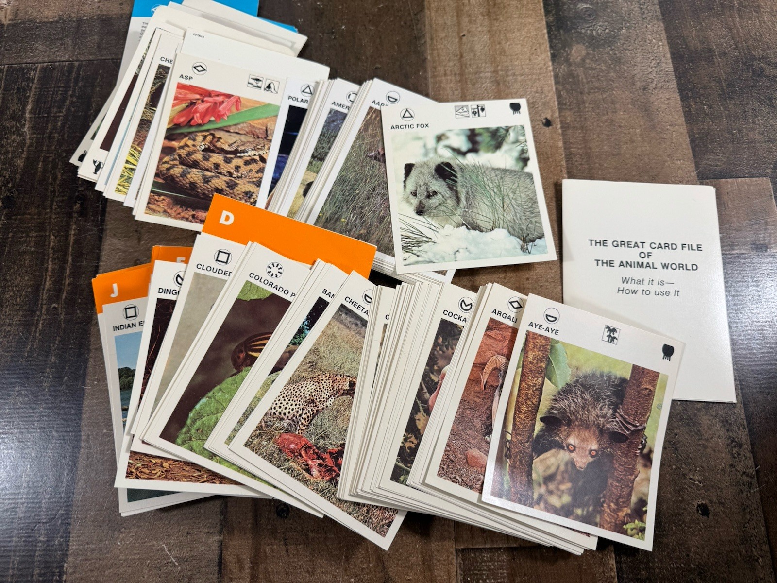 Vintage 1975 Illustrated Wildlife Treasury Box w/ Wildlife Cards