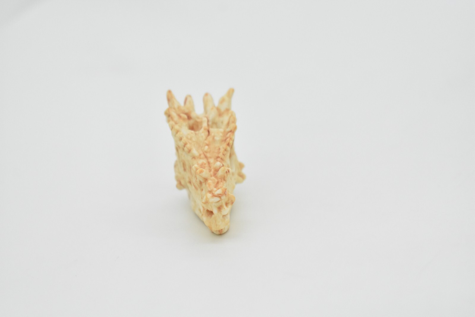 Pachycephalosaurus Thick-Headed Lizard Skull Fossil Very Realistic Toy Model 2″