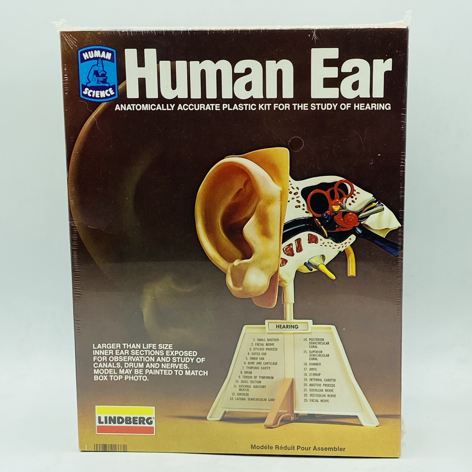 Vintage 96’ Lindberg HUMAN EAR Model Kit Complete In Sealed Box #1337