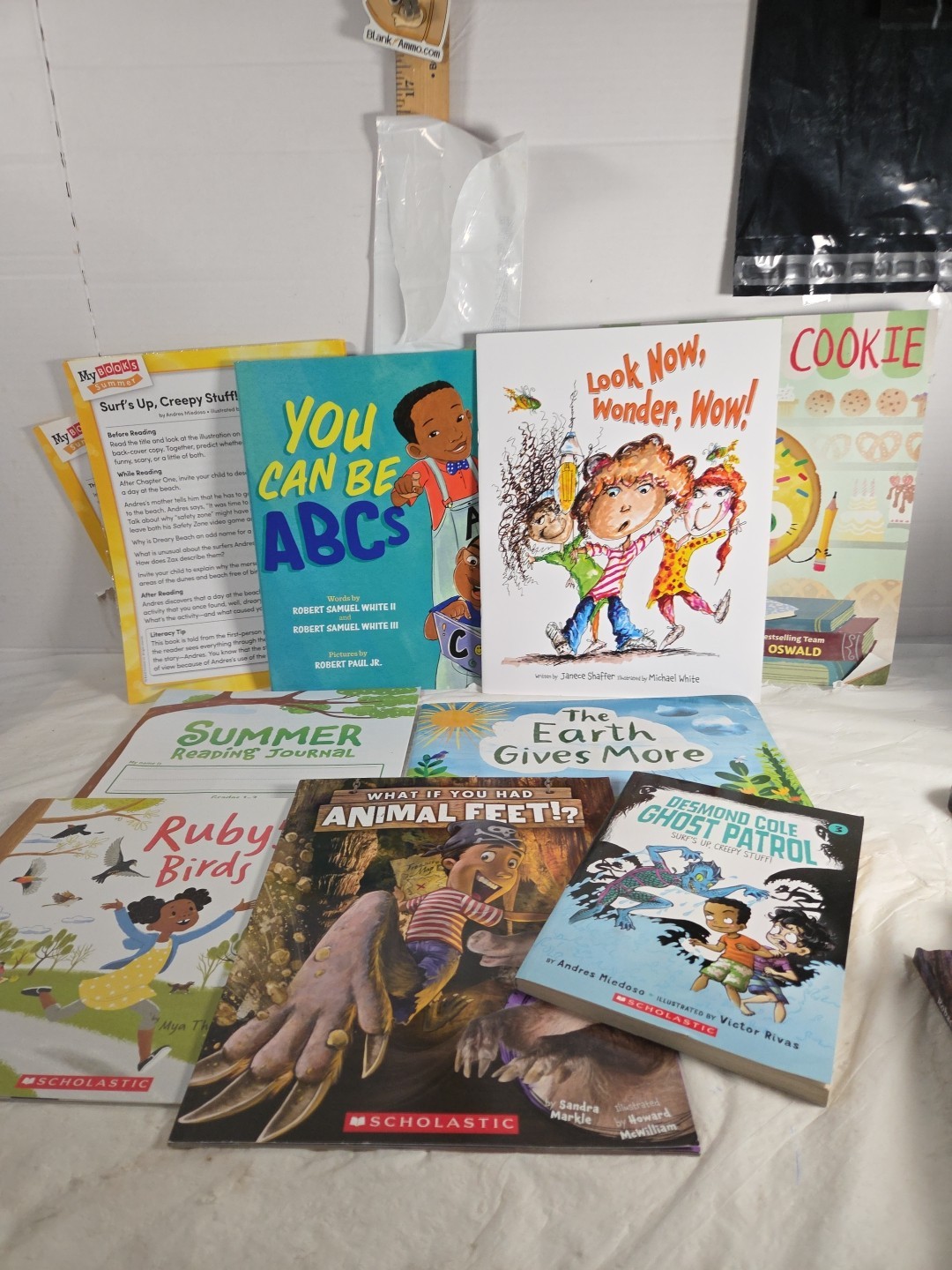Scholastic Kids Book Lot Early Readers Learning Mix ABCs Animals Classroom Homes