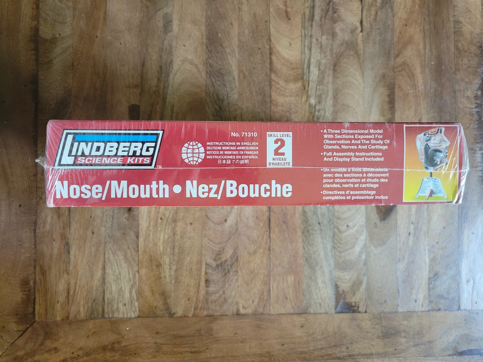 Lindberg Science Kits: Nose/Mouth Skill Level 2 New Unassembled Healthcare Model