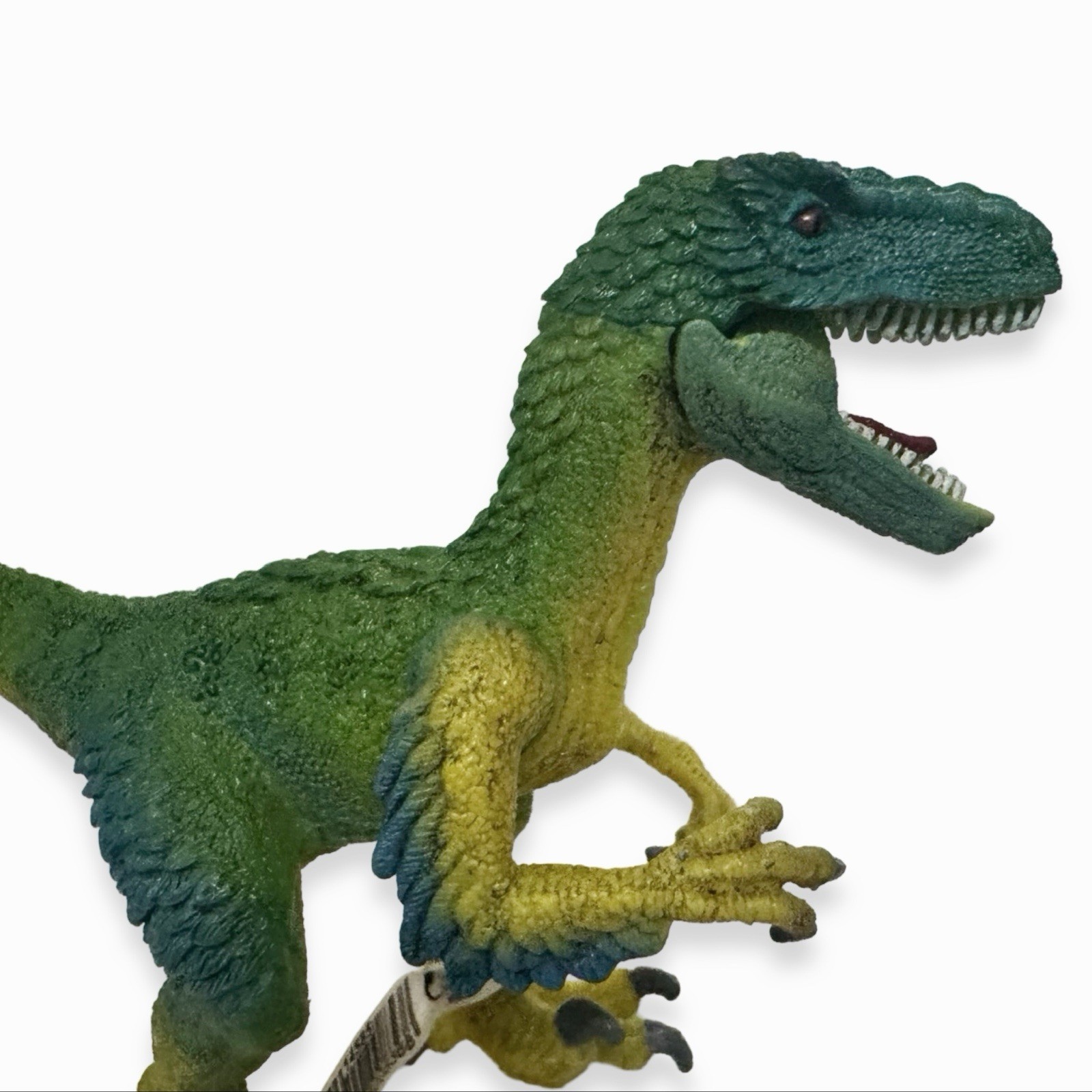 Schleich Velociraptor Dinosaur Figure – AM Lines / New With Tags