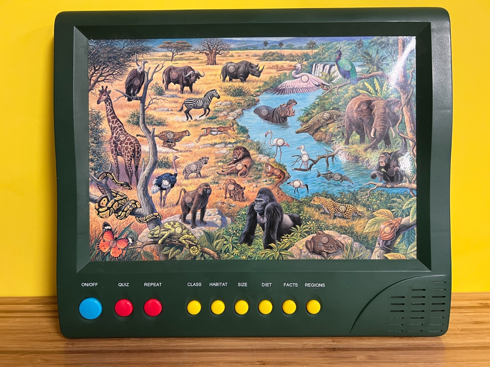 Geo Genius Jungle Interactive Toy dated 1998 -works see video
