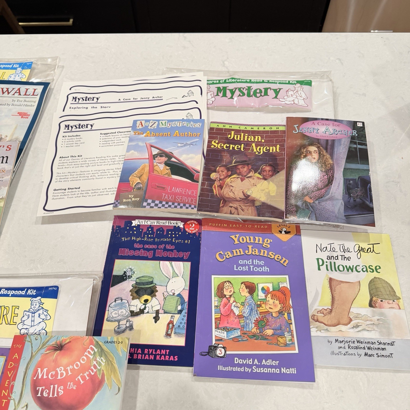 Lakeshore Nonfiction Emergent Readers Box of 20 8-pg books New Sealed Homeschool