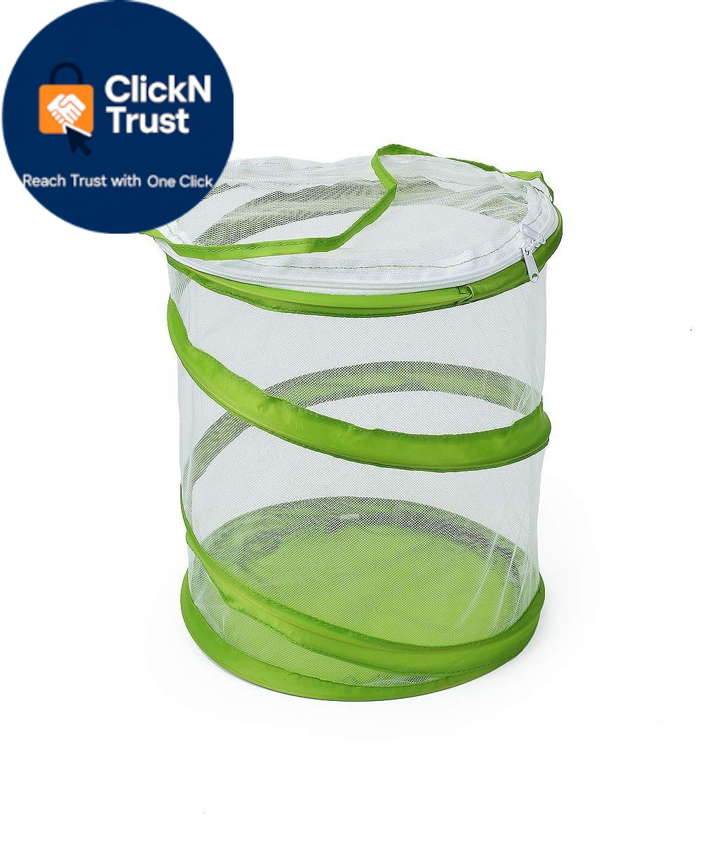 RESTCLOUD Pop-up Insect and Butterfly Habitat 9.0″L x 9.0″W x 11.0″H, Clear