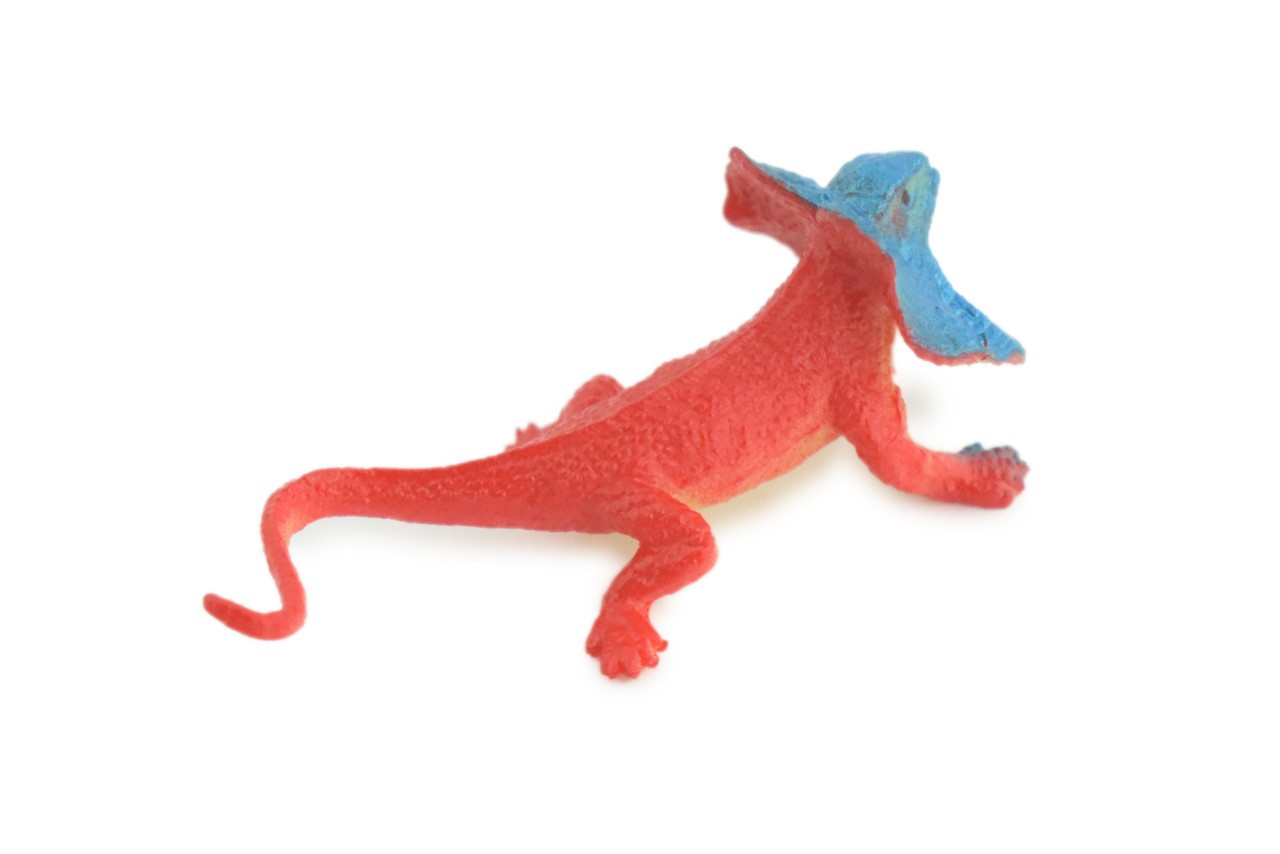 Toy Frilled Lizard, Red and Blue, Realistic Hand Painted Rubber 2.5″ WR40 B197