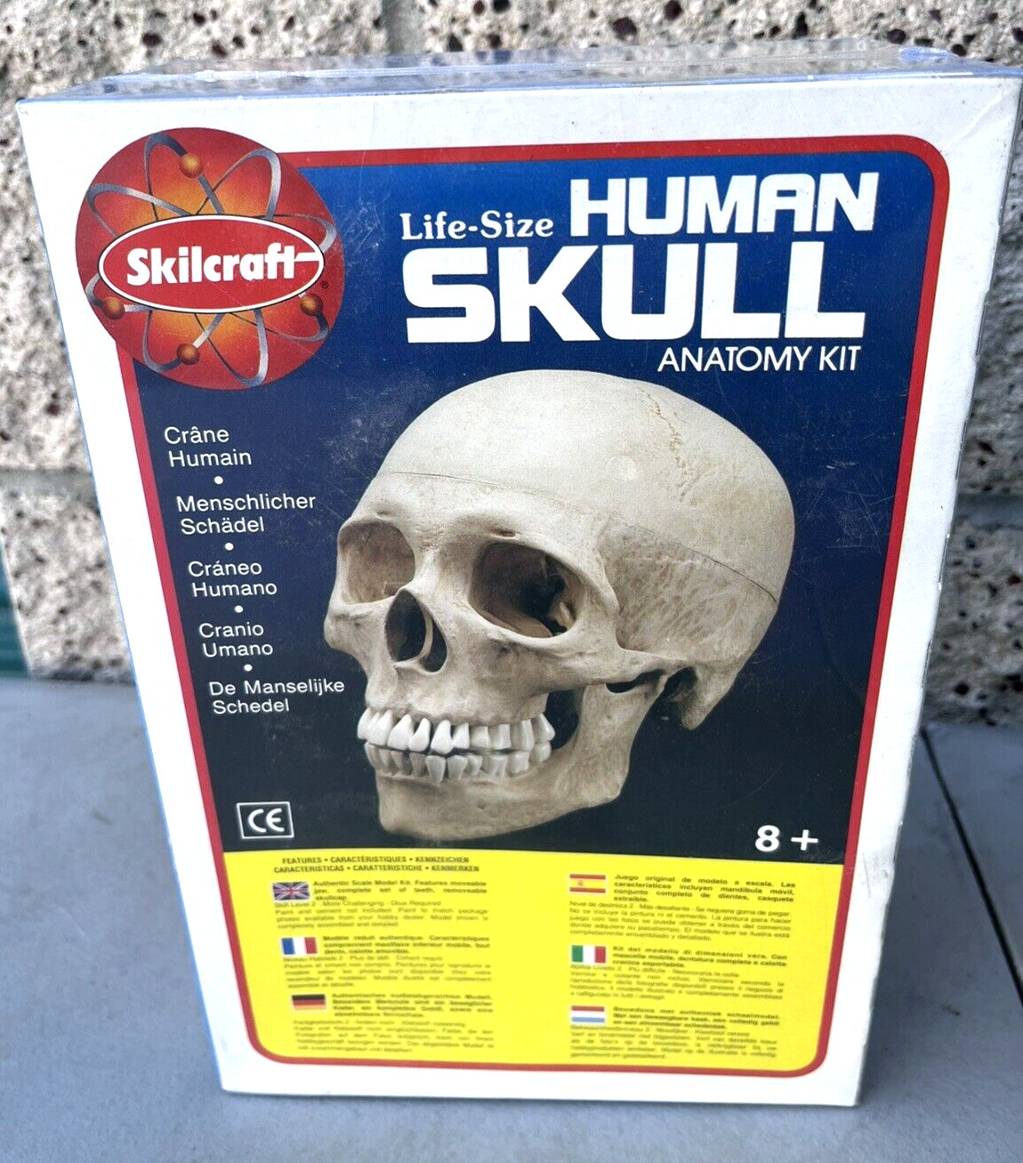 NEW 1996 Vintage Skilcraft Life-Size Human Skull Anatomy Model Kit No. 74625