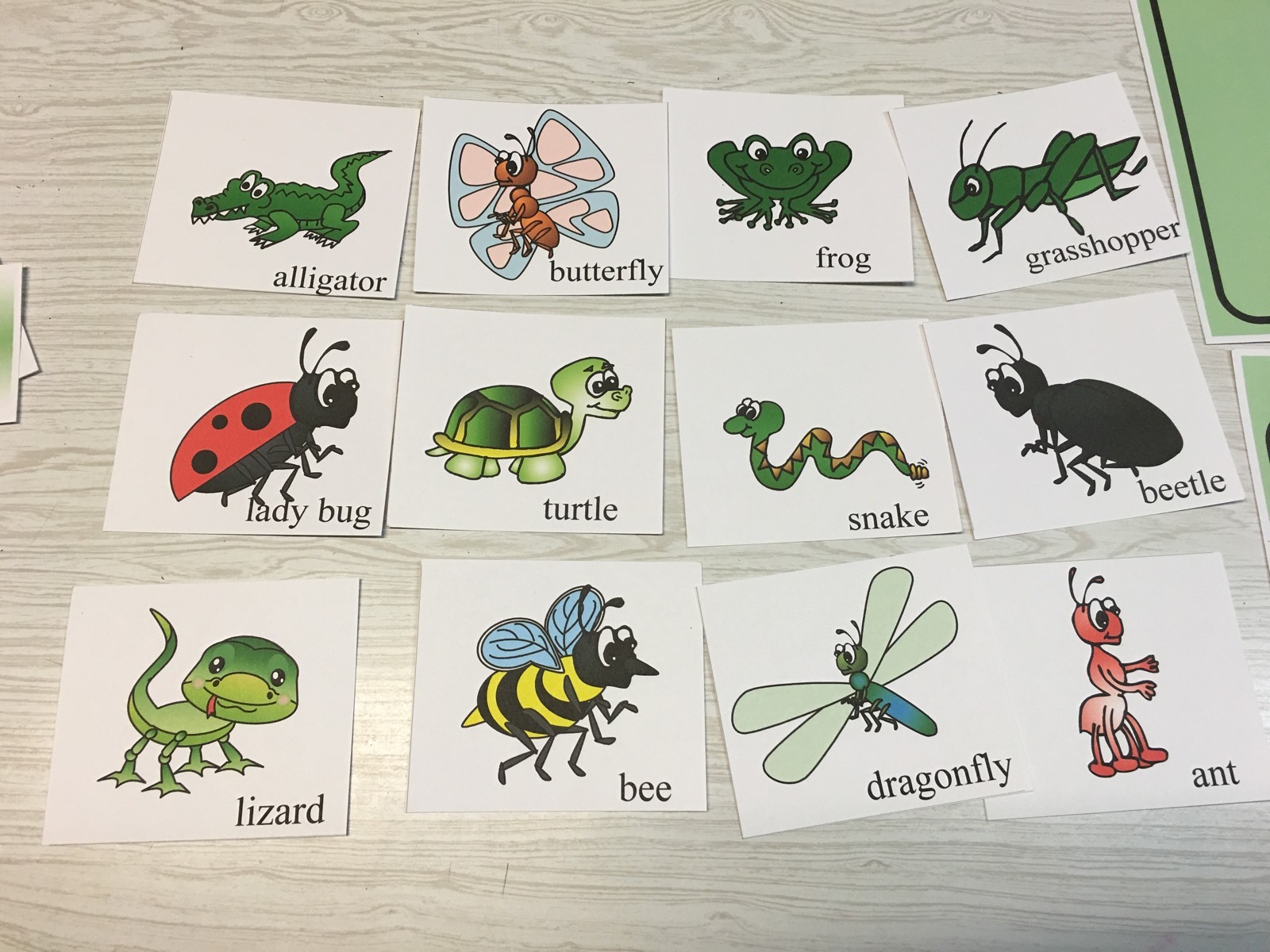 INSECTS-THEMED Learning Activities Package LAMINATED preschool Daycare