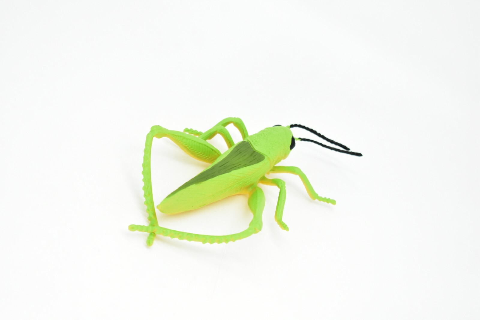 Grasshopper, Rubber Toy Insect, Realistic Figure, Model, Replica Kids 7″ F2059