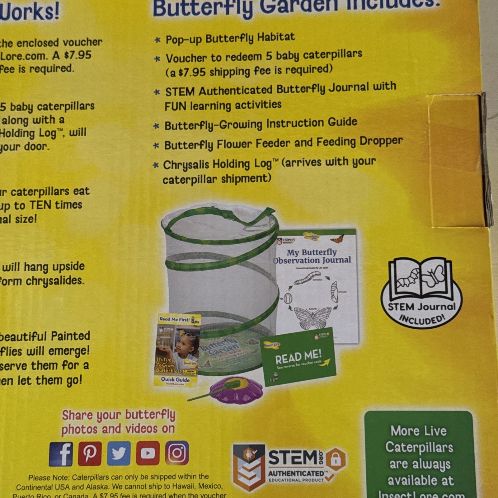 Insect Lore Butterfly Garden Pop Up Net Bug Habitat 1010 New