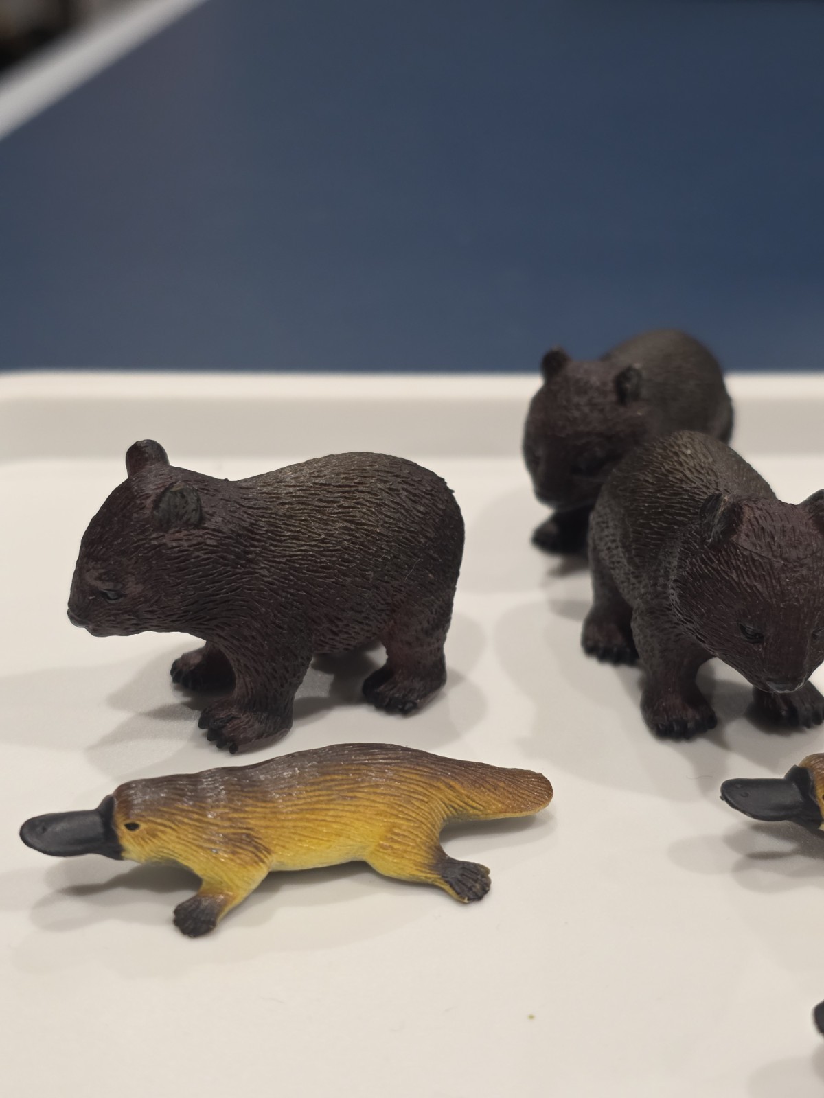 Australia Animal Toy Figures Penguin Wombat Echidna Platypus Science Nature