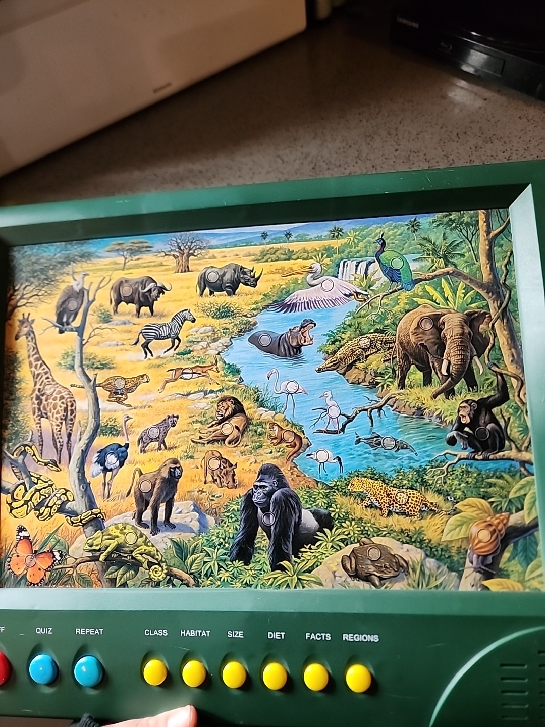GEO GENIUS GREEN JUNGLE ANIMALS INTERACTIVE QUIZ TOY SOUND HABITAT FACTS 1998