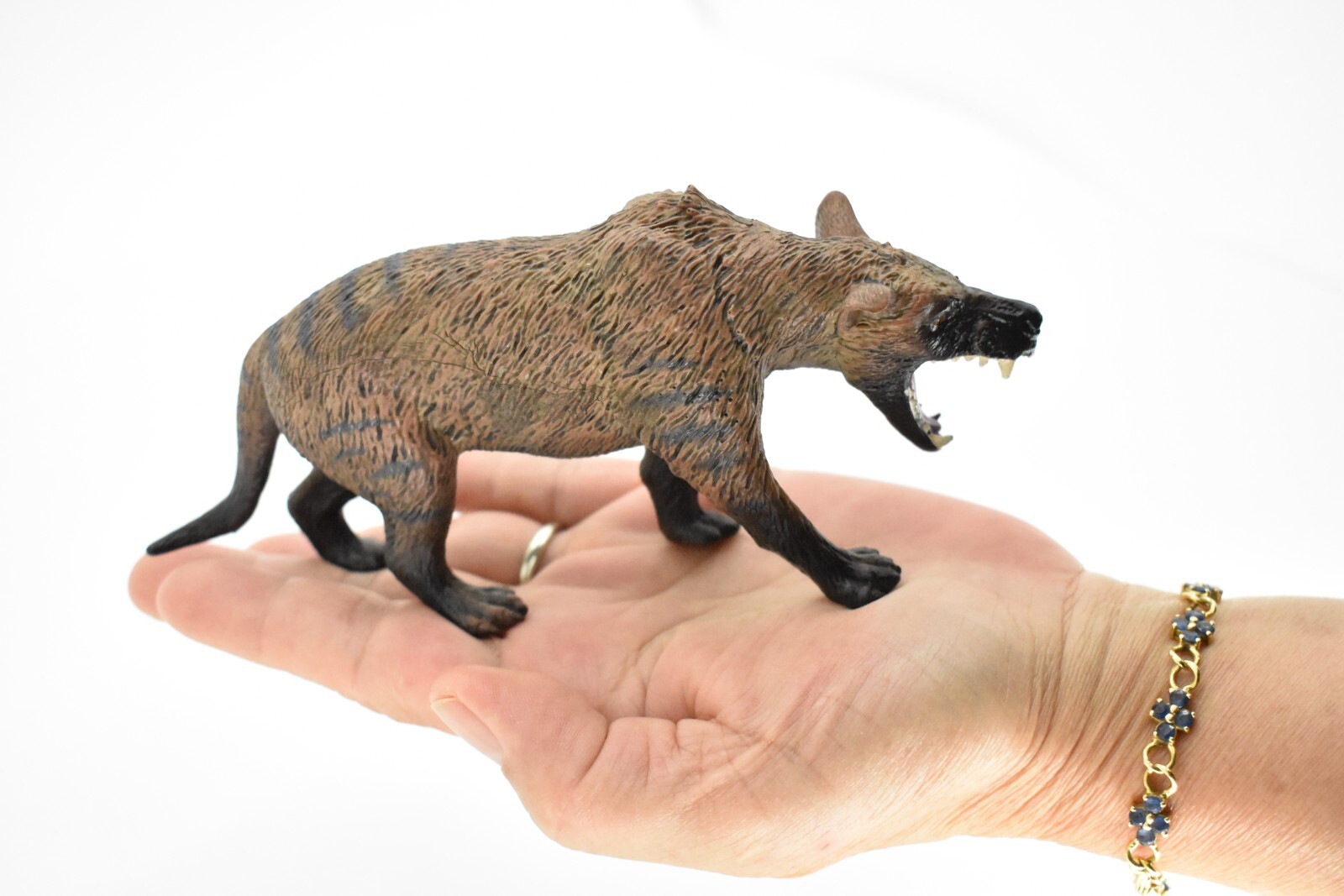 Tasmanian Tiger, Museum Quality Rubber Reproduction, Hand Painted, Figurine 7″