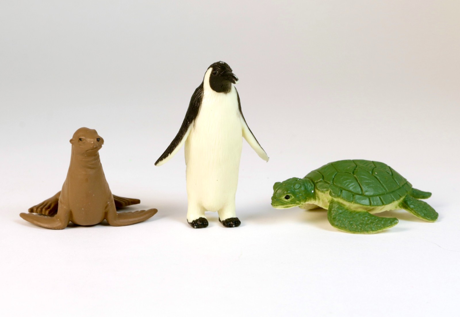 Safari Ltd. Ocean TOOB – 12 Mini Toy Figurines, Marine Ocean Life Figure Set