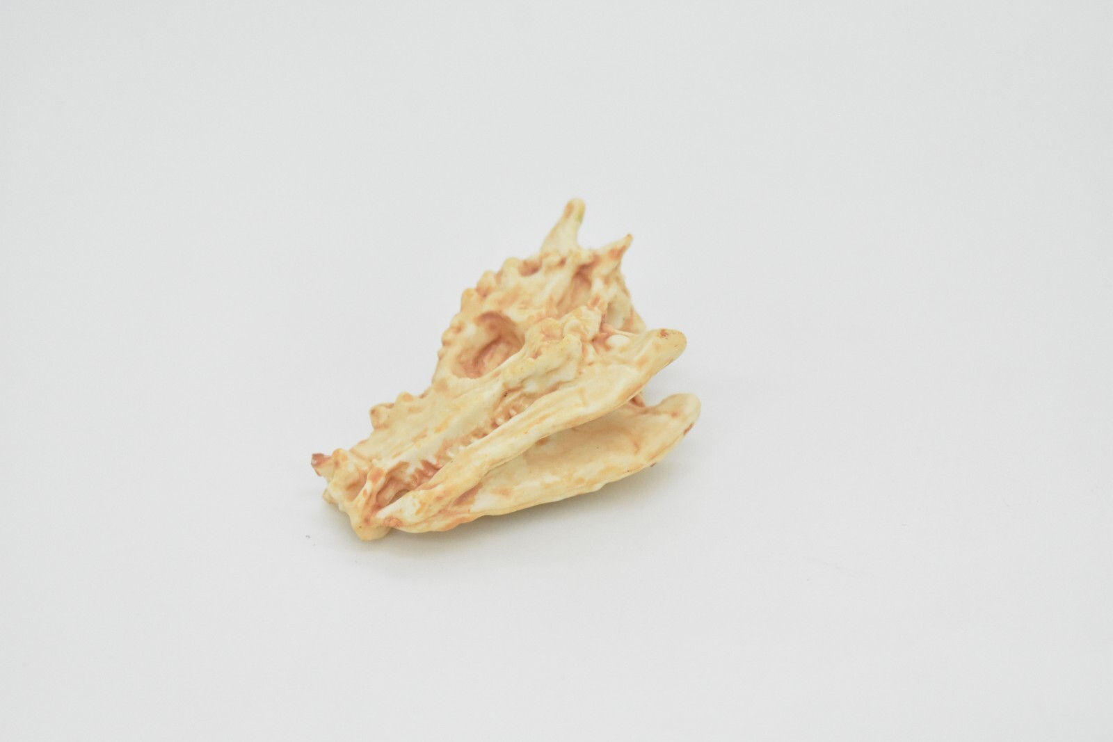 Pachycephalosaurus Thick-Headed Lizard Skull Fossil Very Realistic Toy Model 2″