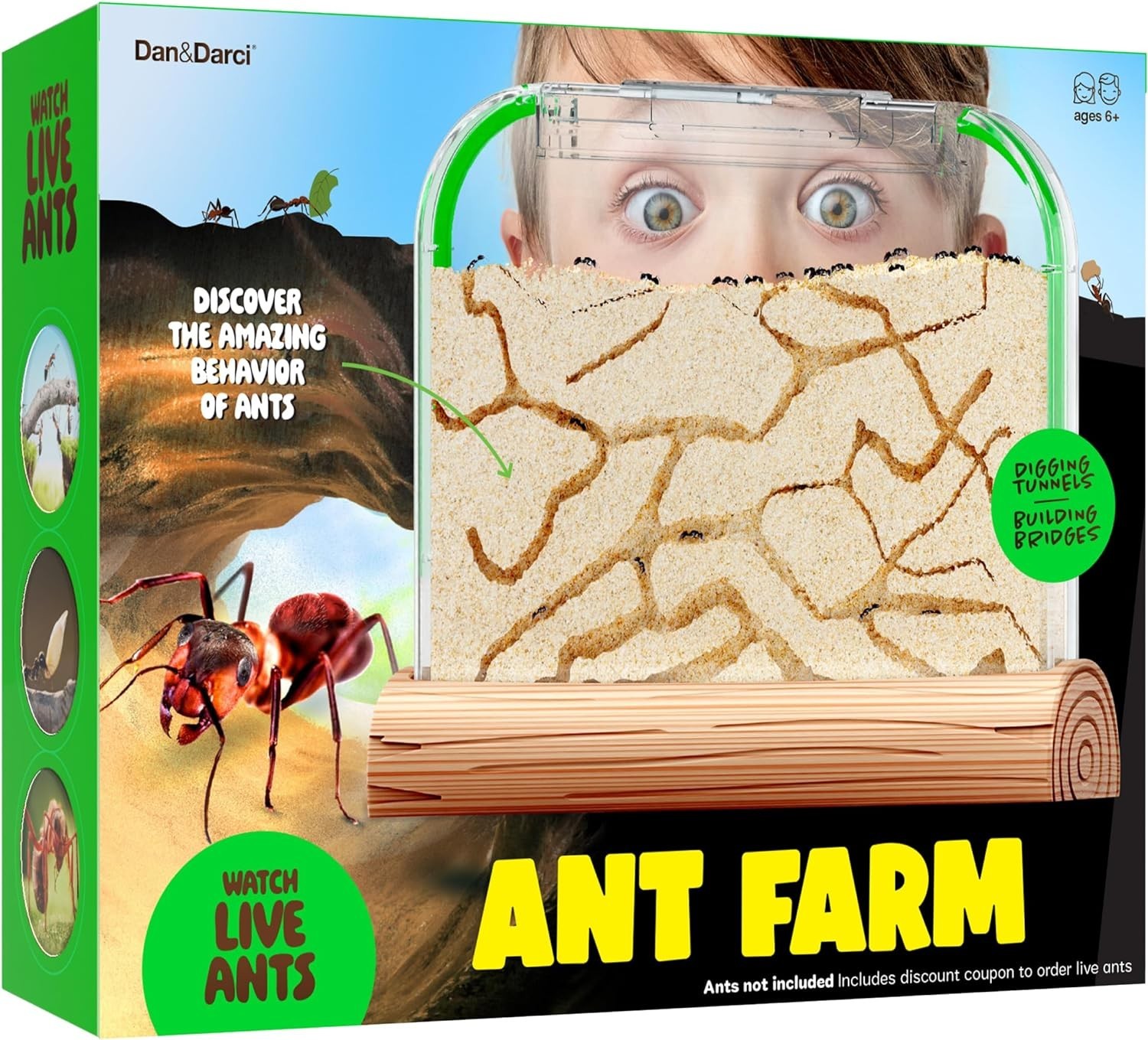Ant Farm Kit for Kids – Farms Colony – Includes Ants Voucher – Sand Habitat K…