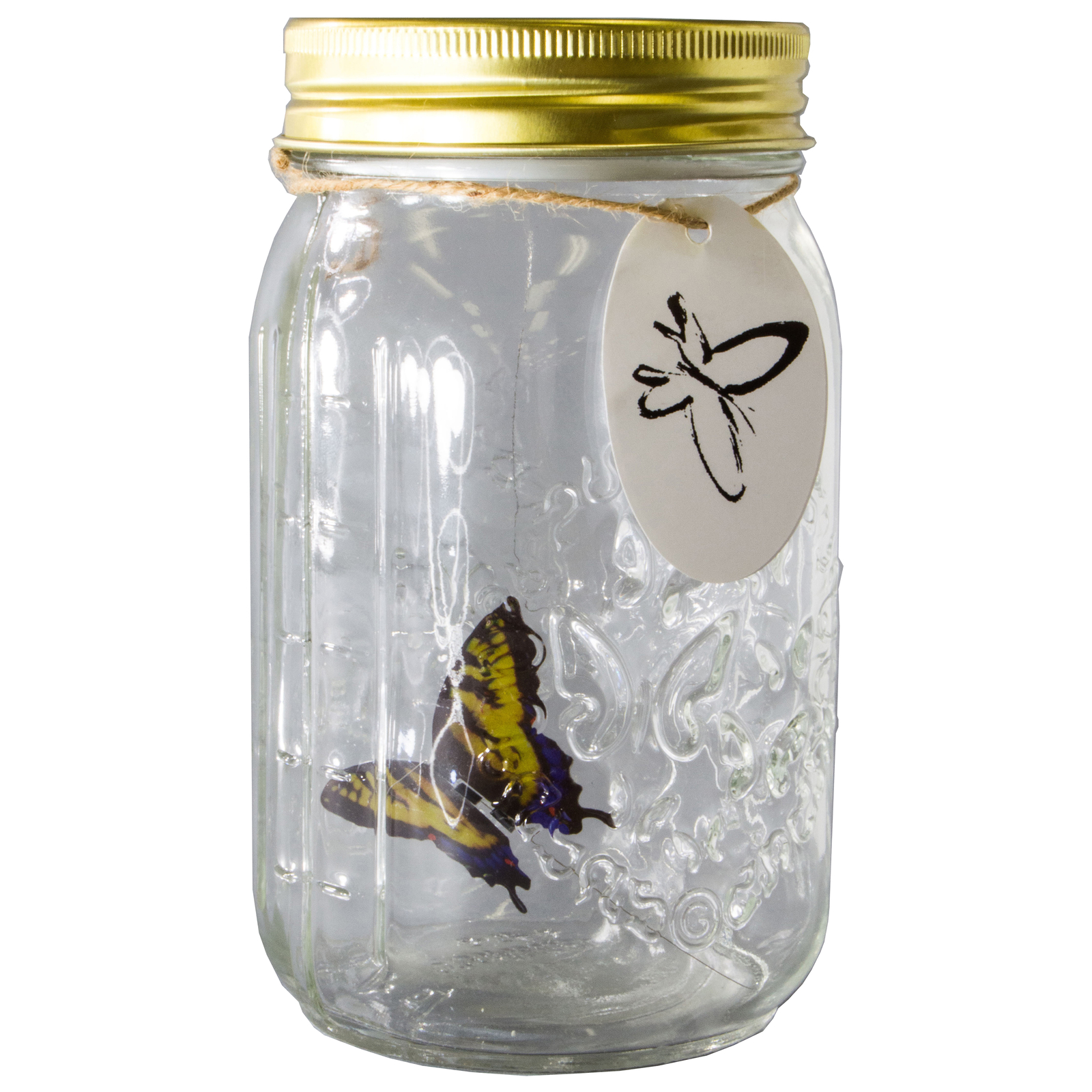 Animated Butterfly in a Jar – Yellow Swallow, Tap to Activate, LED Lighted