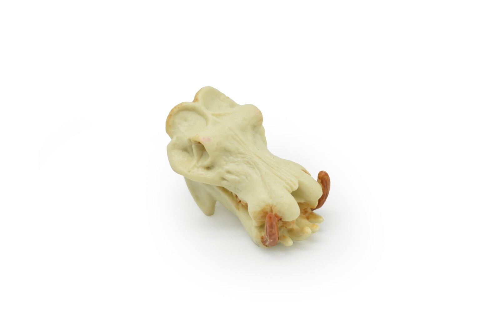 Hippo Skull, Hippopotamus Toy, Realistic Plastic Model 2 inches long
