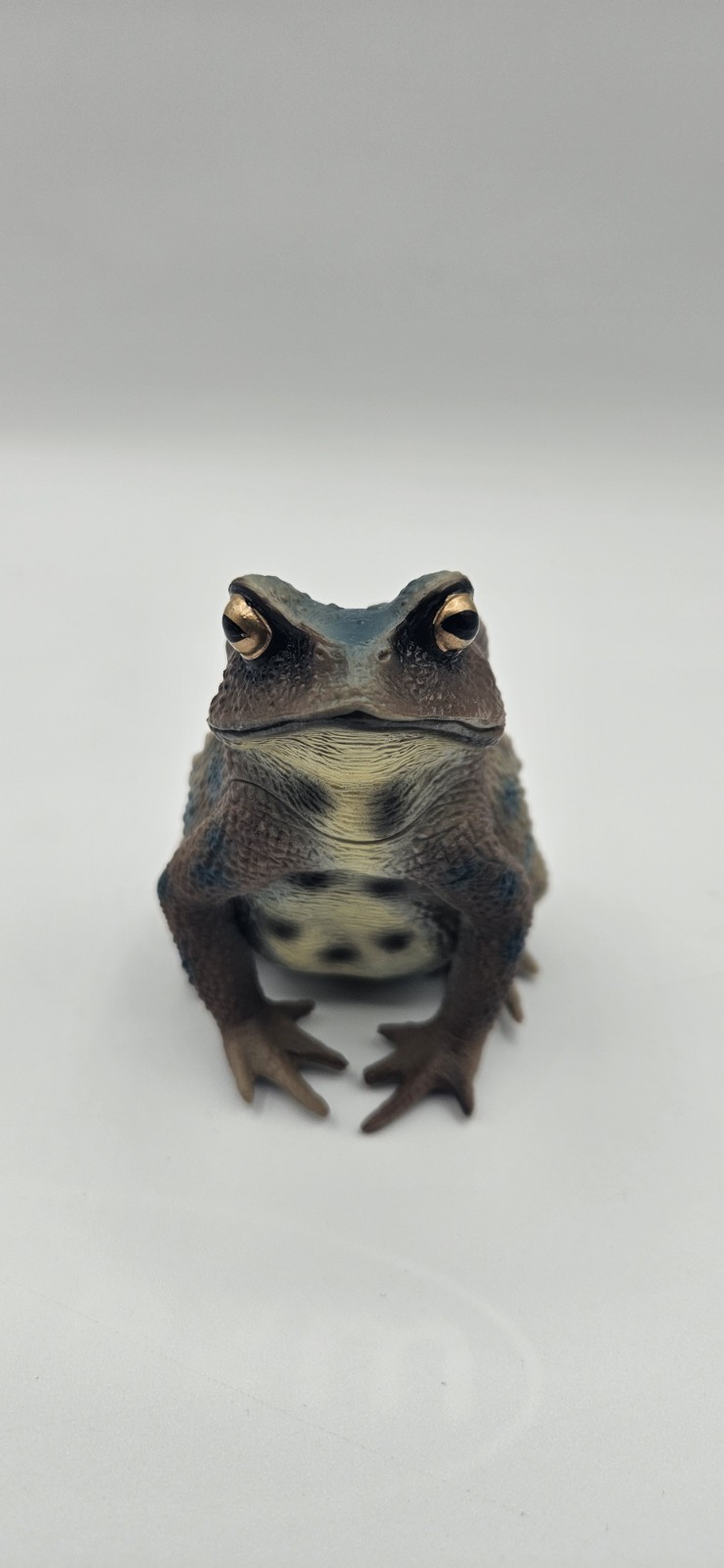Large Toad Figure Toy Child Plastic Gift Figura Sapo Grande Juguete Plástico 229